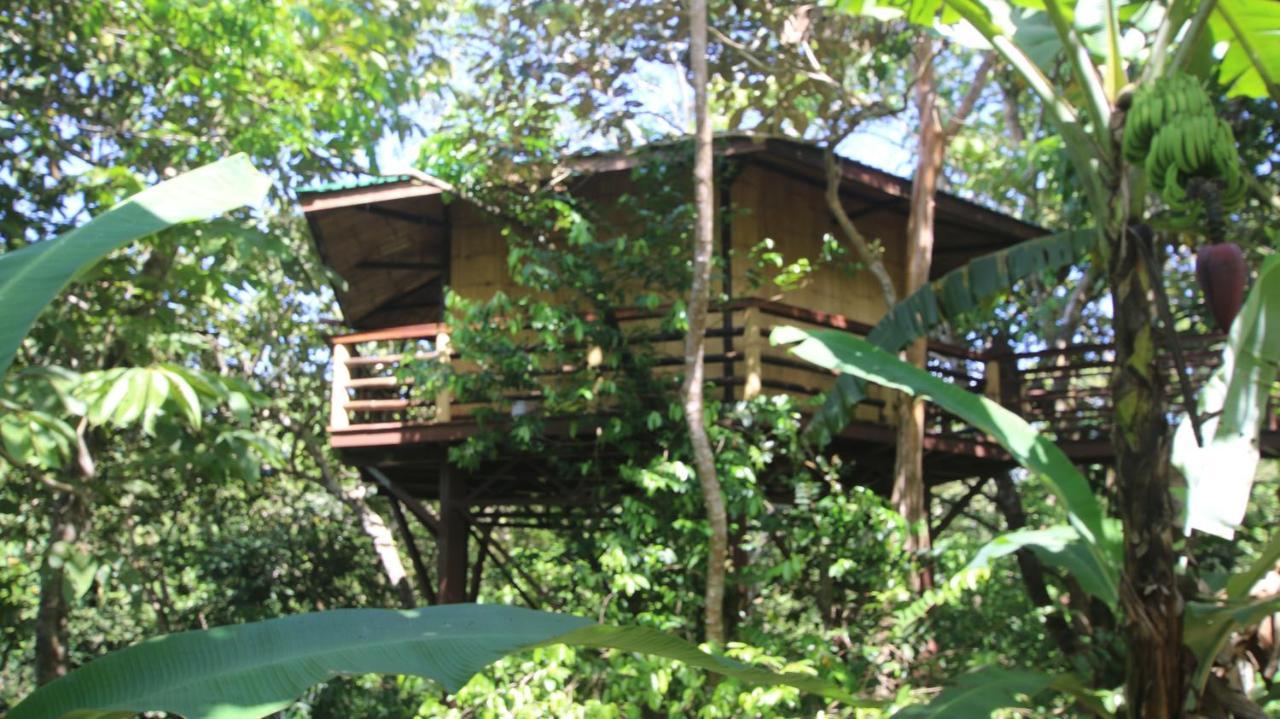 Treehouse Pilon Pavones Villa Pavones  Exterior photo