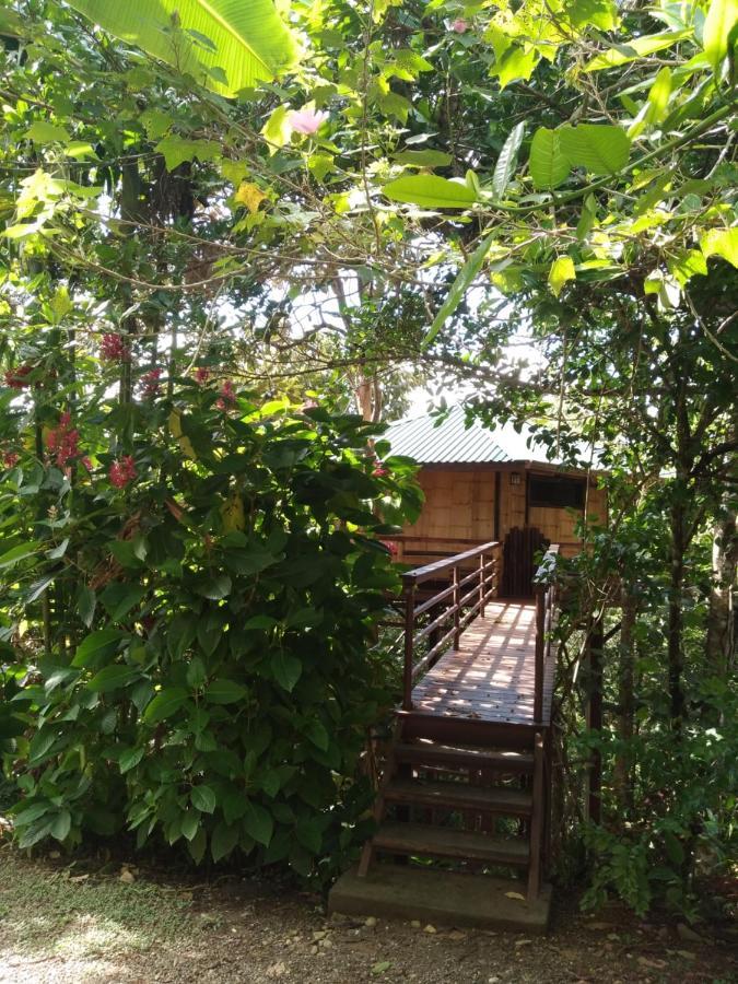 Treehouse Pilon Pavones Villa Pavones  Exterior photo